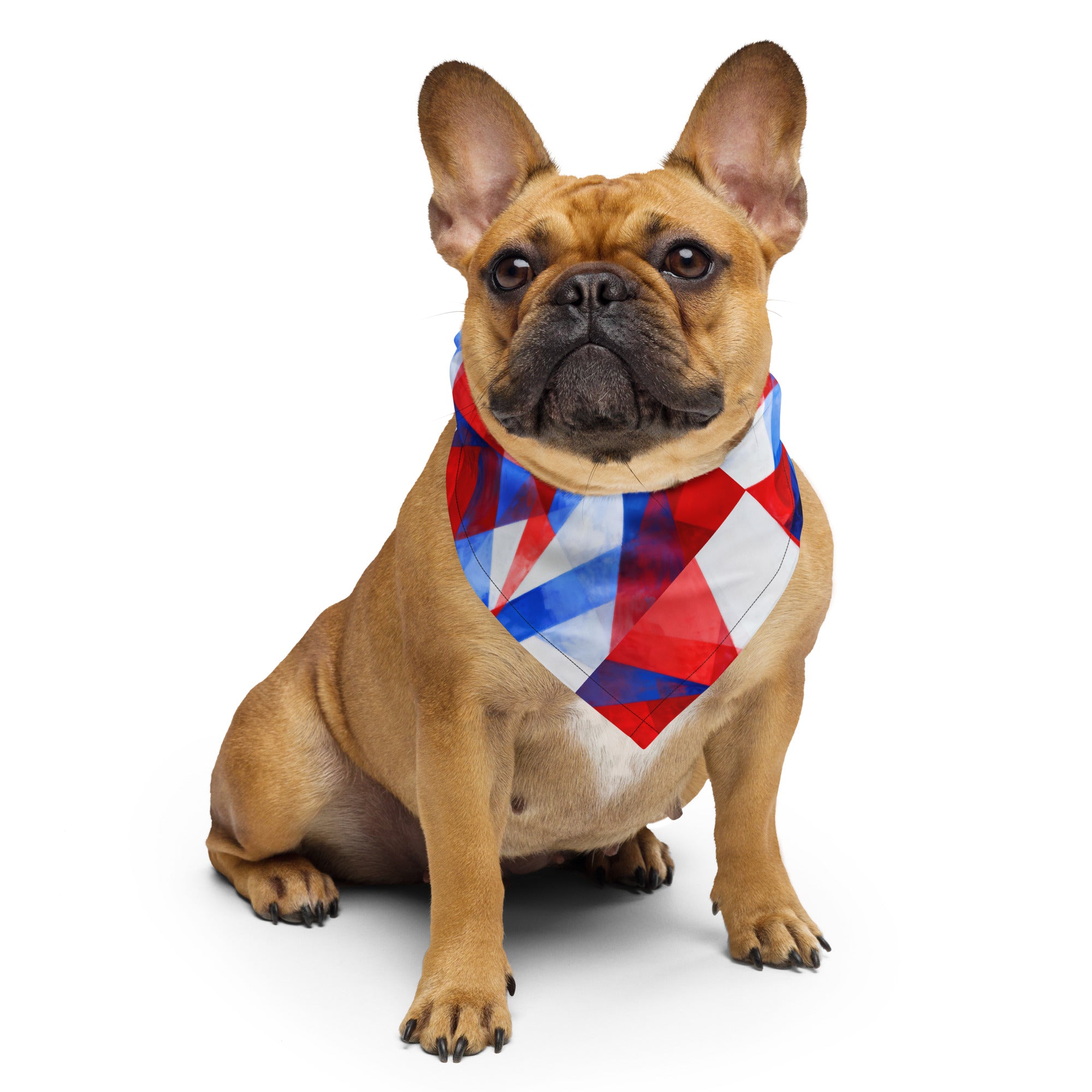 Red, white, and blue geometric bandana on a dog’s neck